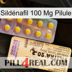 Sildénafil 100 Mg Pilule new06